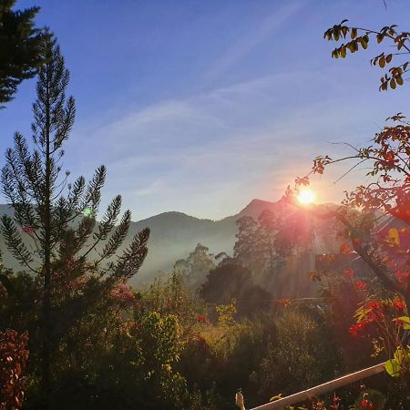 Princess Of Dickoya Homestay Гаттон Екстер'єр фото