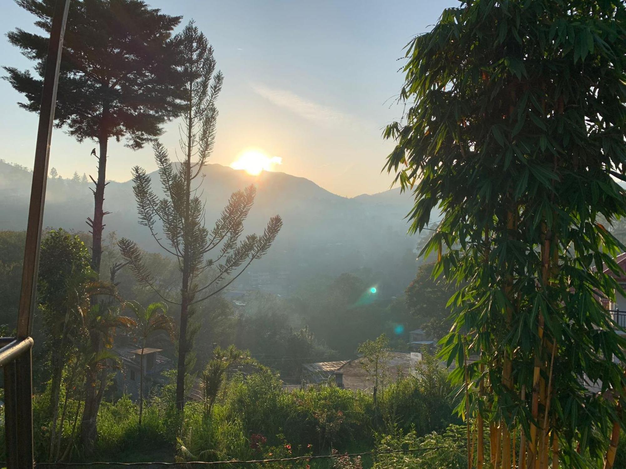 Princess Of Dickoya Homestay Гаттон Номер фото