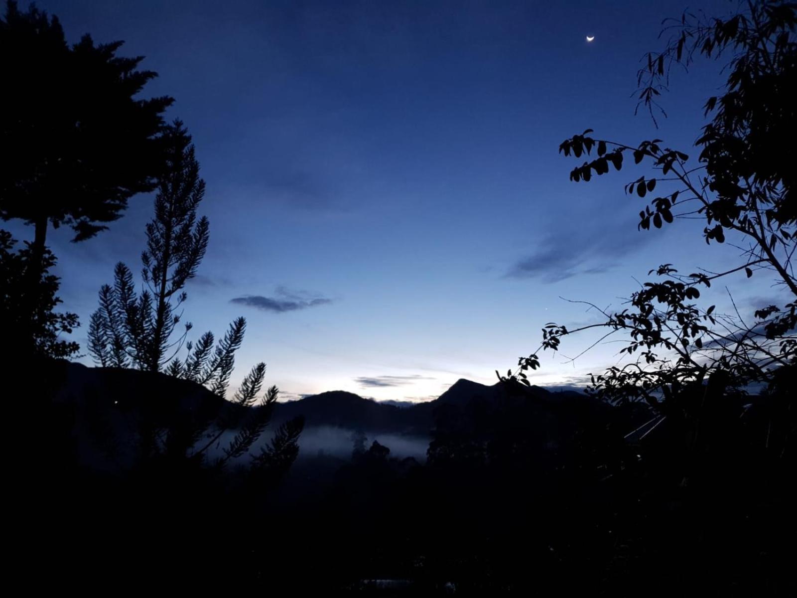 Princess Of Dickoya Homestay Гаттон Номер фото