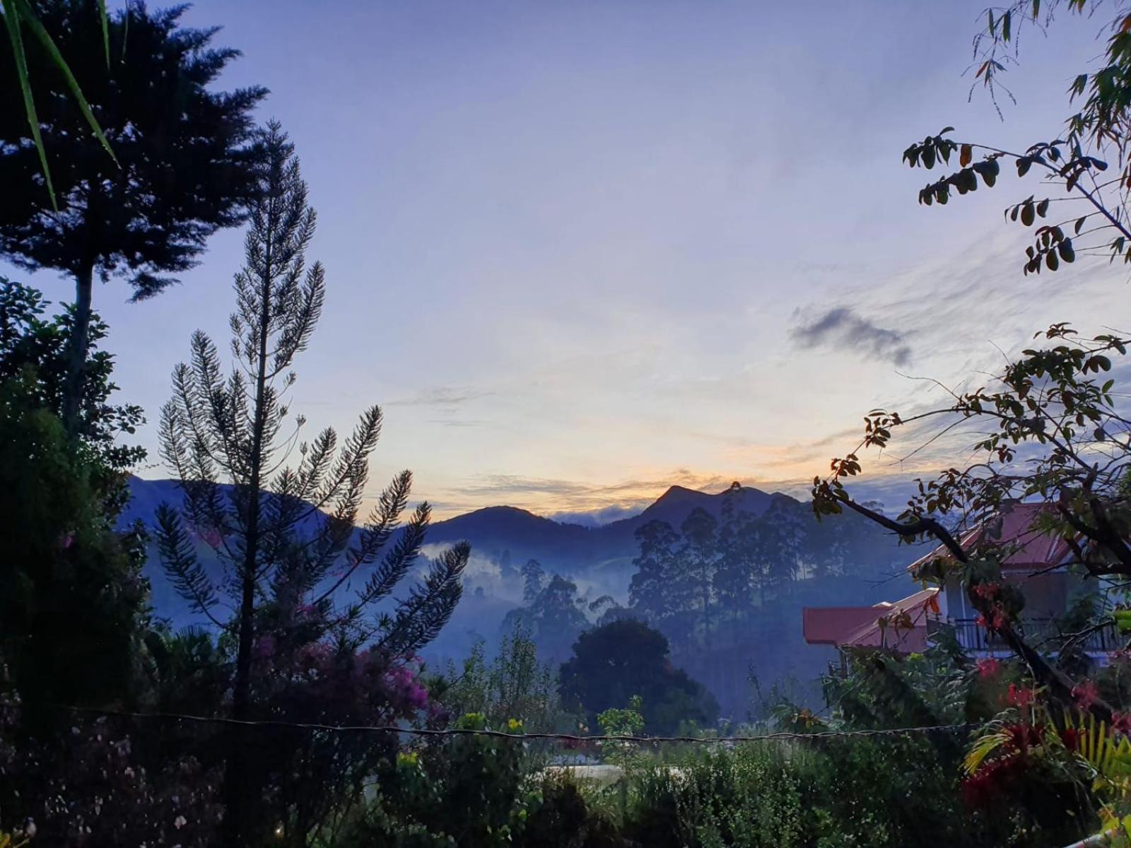 Princess Of Dickoya Homestay Гаттон Номер фото